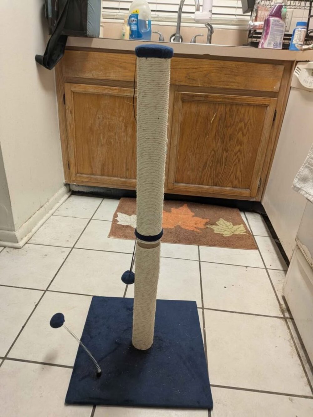 34" Cat scratcher